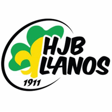 Logo Scouting H.J.B. Llanos