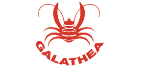 Logo OWSV Galathea