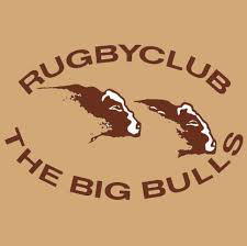 Logo Rugbyclub Big bulls